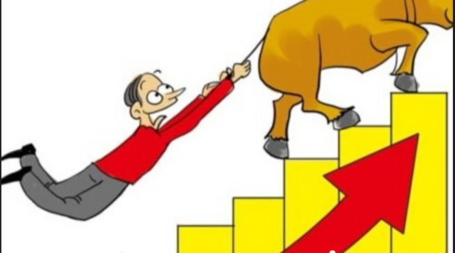 股票资配公司：优化投资组合，实现财富增长